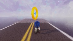 SonicMan Race