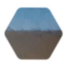 Brown Fall Grass - Dying