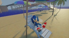 Sonic at the beach