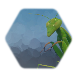 Remix of Praying Mantis