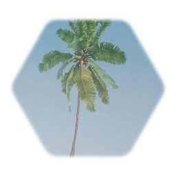 Hyper realistic Coconut Palm Tree