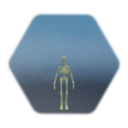 2D Castlevania skeleton