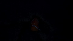 A screenshot taken in Dreams. 4 of 4.