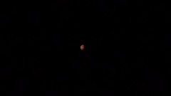 A screenshot taken in Dreams. 28 of 30.