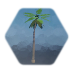 Light Trunk Light Frond Palm Tree