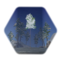 Snowy Spruce (Far Background)