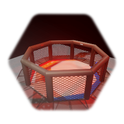 MMA Cage - Octagonal Shape