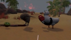 Kiwi vs duck 5