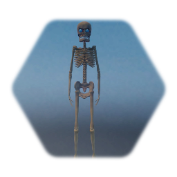 Squelette²