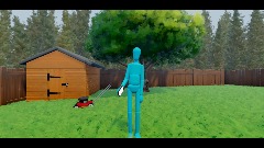 the flying gorilla incident