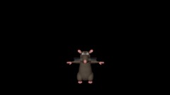 FARD RAT
