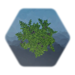 Leaves/Bush