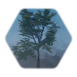 Semi Realistic Walnut tree
