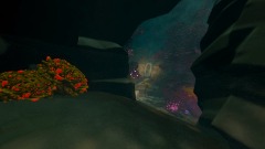 Shadow Sea [the shallow]