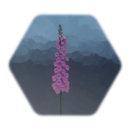 Optimised Remix of Foxglove Flower