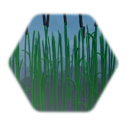 Cattail Grass
