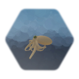 Octopus blank