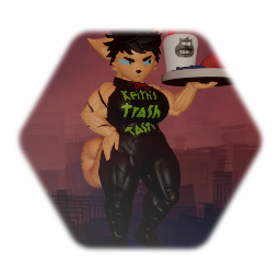 The cats in the bag.