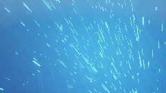 A screenshot taken in Dreams. 18 of 22.