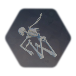 Human skeleton Ragdoll