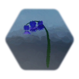 Bluebell