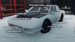 <clue>REALISTIC CUSTOMISATION