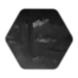 League of Dreams. Test