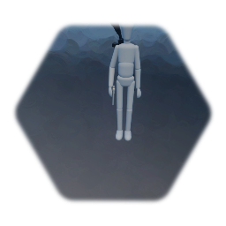 First person shooter