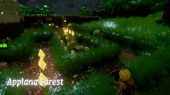 Fetch 1  Applana Forest