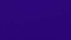 FL Hold'em Poker with Three Advanced AIs