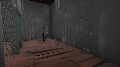 THE GOLD (early versions)