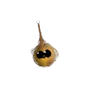 MarkioSanjo