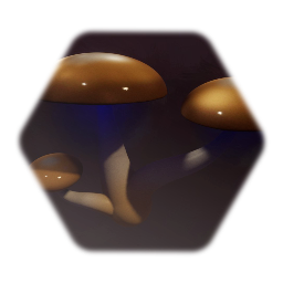 Psilocybe Mushroom