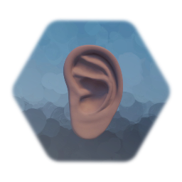 Realistic Ear