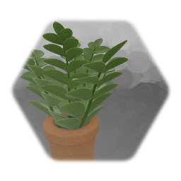 Plant in Pot 2 - ZZ Plant