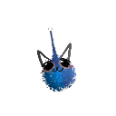 aquaslash203