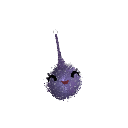 EnbyGengar