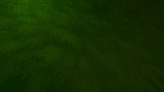 DHM Ferret Grave (Made in 30 minutes)