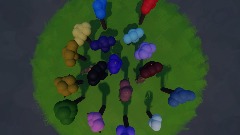 Bird's-eye View of Island