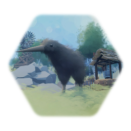 Kiwi Bird in the Summer