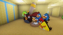 Victory for the angry birds