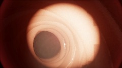 Colonoscopy simulator