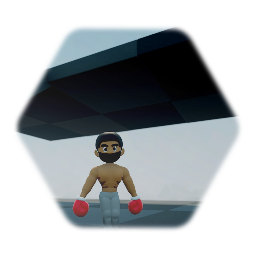 Boxer thingy