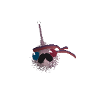Aquatic_Duck15