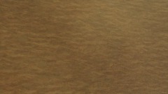 A screenshot taken in Dreams. 1 of 4.