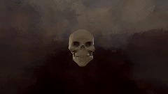 Just a Human Skull