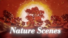 Nature Scenes