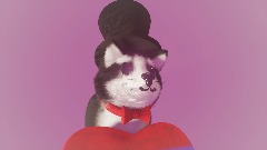 Husky Valentine