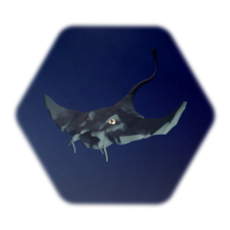 Manta Ray