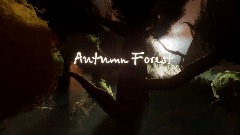 Autumn Forest